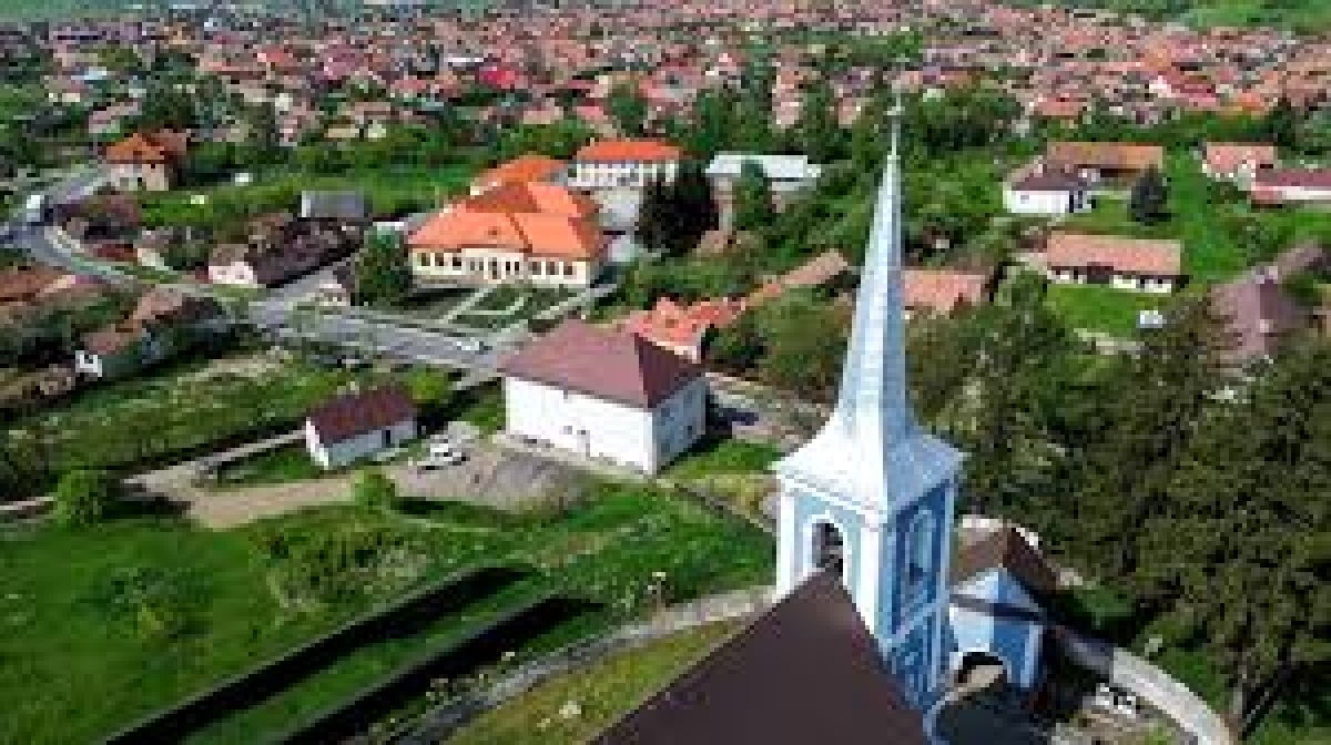 Csíkmadaras