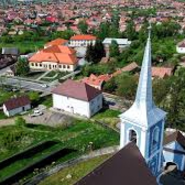 Csíkmadaras